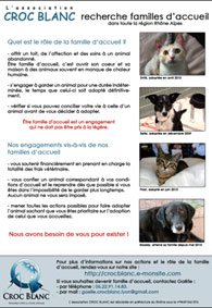 Affiche2