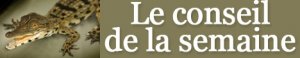 Le conseil de la semaine Le conseil de la semaine