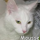 Mousse