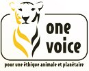 One Voice