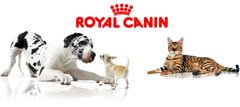 Royal Canin