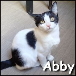 Abby