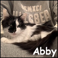 Abby