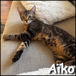 Aiko