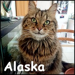 Alaska