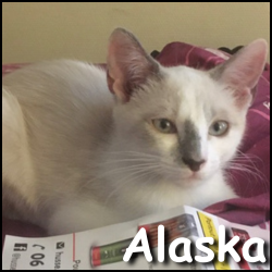 Alaska