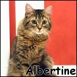 ALbertine