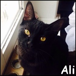 Ali