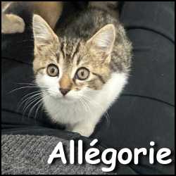 Allégorie