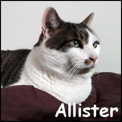 Allister