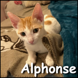 Alphonse