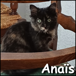 Anais