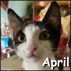 April