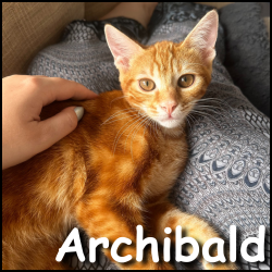 Archibald