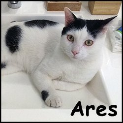 Ares