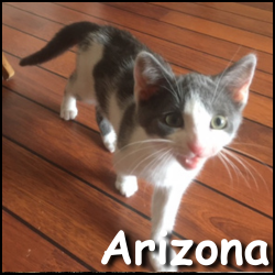 Arizona