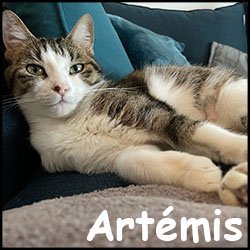 Artemis