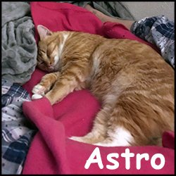 Astro