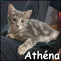 Athéna