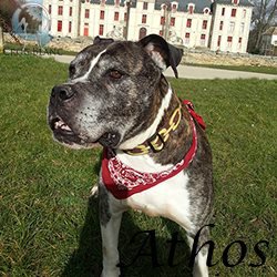 athos