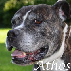 Athos - Paris