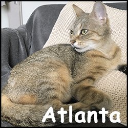 Atlanta