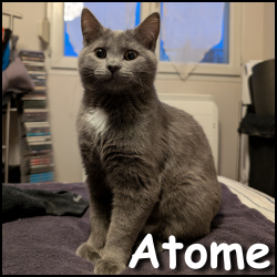 Atome