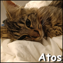 Atos