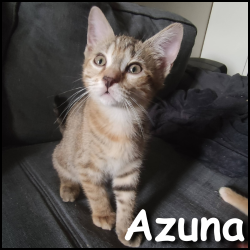 Azuna