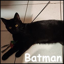 Batman