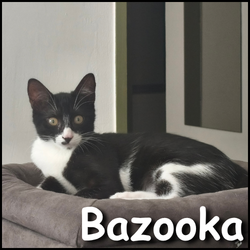 Bazoooka