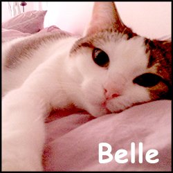 Belle