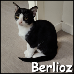 Berlioz