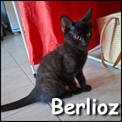Berlioz
