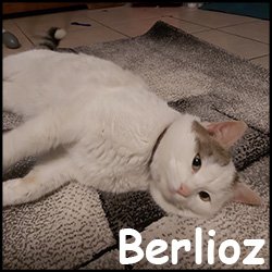 Berlioz