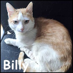 Billy