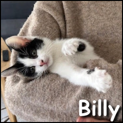 Billy