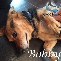 Bobby