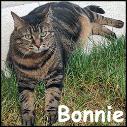 Bonnie