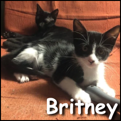 Britney