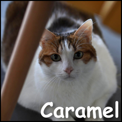 Caramel