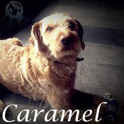 Caramel