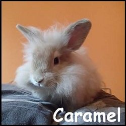 Caramel
