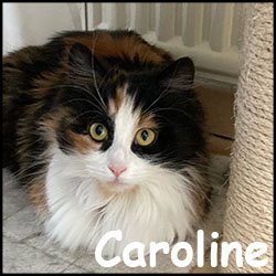 Caroline