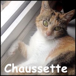 Chaussette