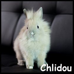 Chlidou