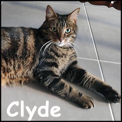 Clyde