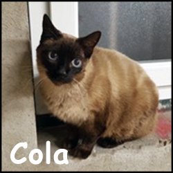 Cola