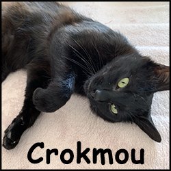 Crokmou