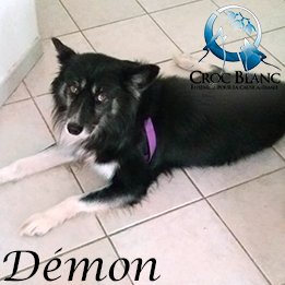 Demon